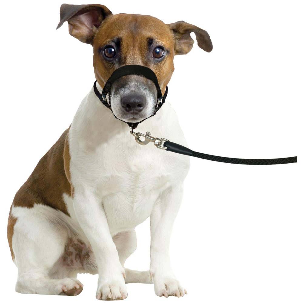 Harnais de dressage de tête museliere- noir XS - pour chien - Imagen 1