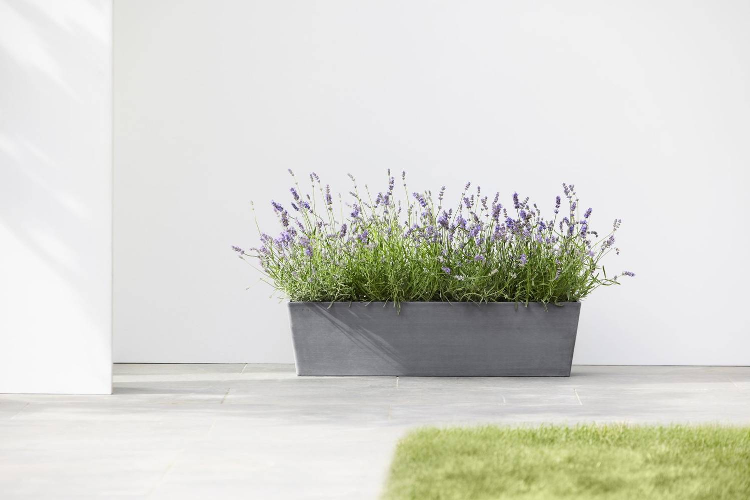 Ecopots - Pot Rectangulaire Bruges 80 Gris - 80 x 20 x H. 20 cm - 25 L ECOPOTS - Imagen 3