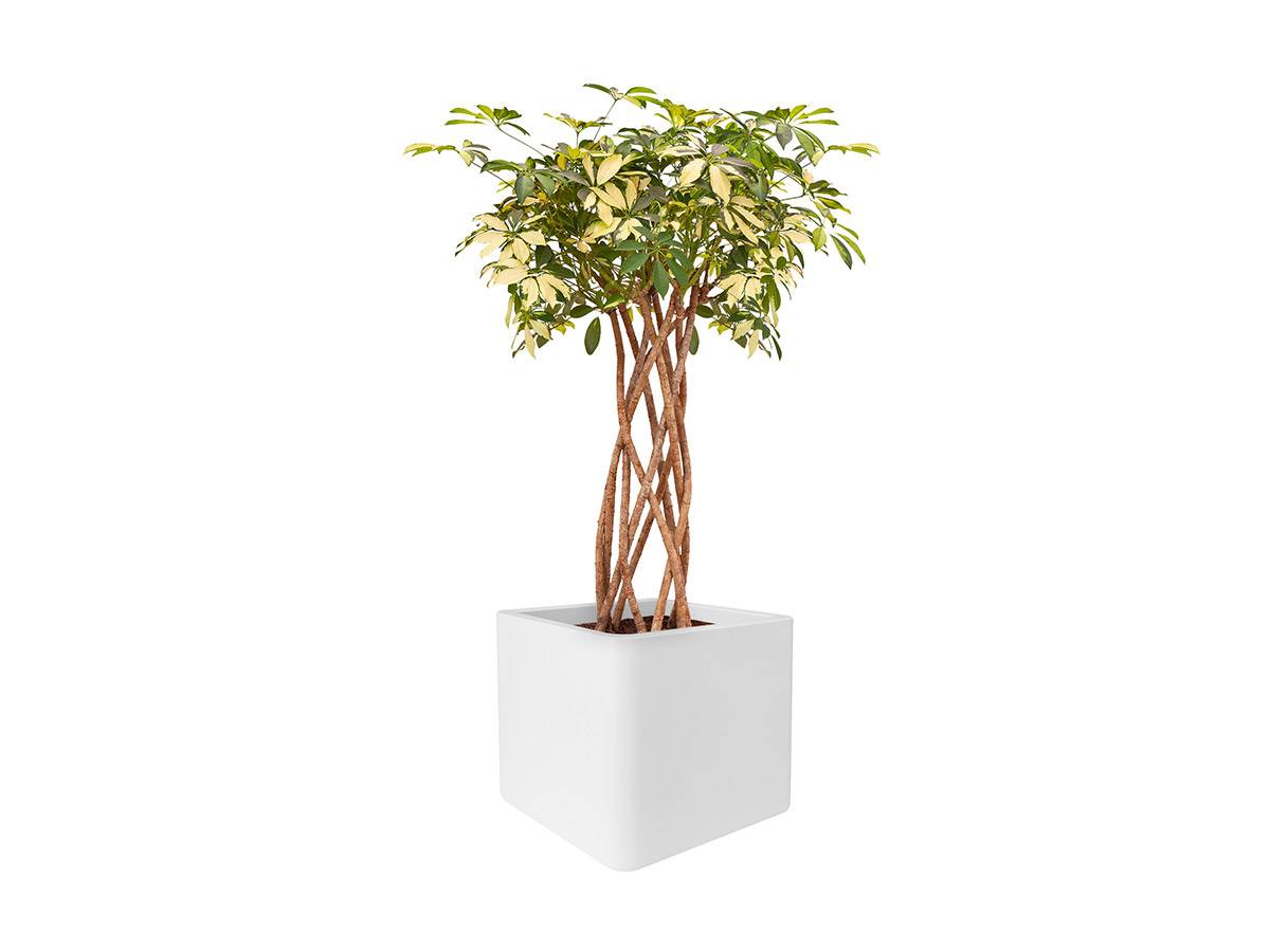Pot de fleurs Pure Soft Brick 50 x H.50 cm - Blanc - Imagen 3