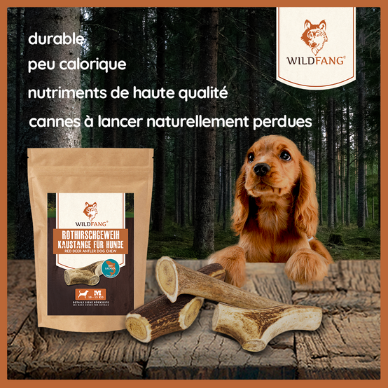 Wildfang - Wildfang - Cerf élaphe mâchant des bois à l'huile de saumon - 3 pieces - M - pour les chiens pesant entre 10 et 25 kg - Image 2