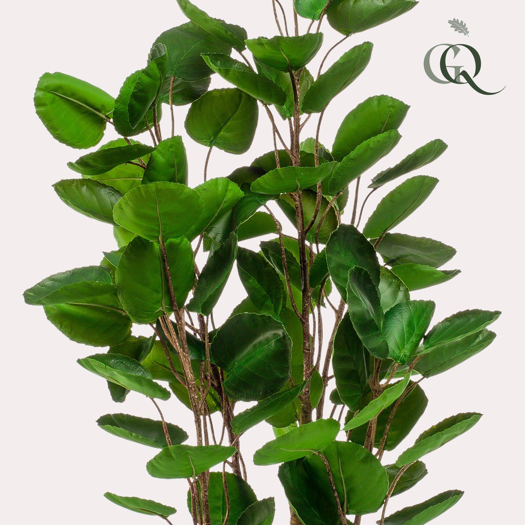 La Green Touch - Polyscias Aralia plante artificielle - h105cm, Ø12cm- La Green Touch - Imagen 2