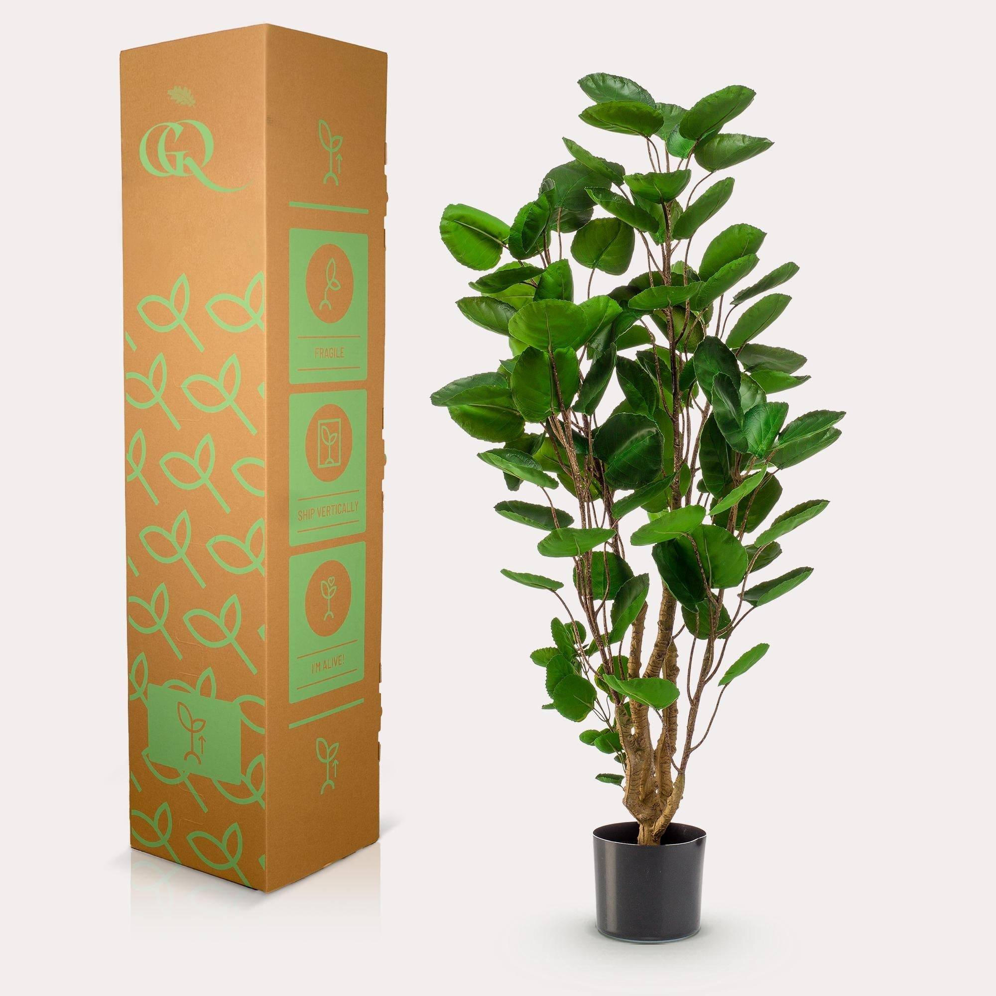 La Green Touch - Polyscias Aralia plante artificielle - h105cm, Ø12cm- La Green Touch - Imagen 3