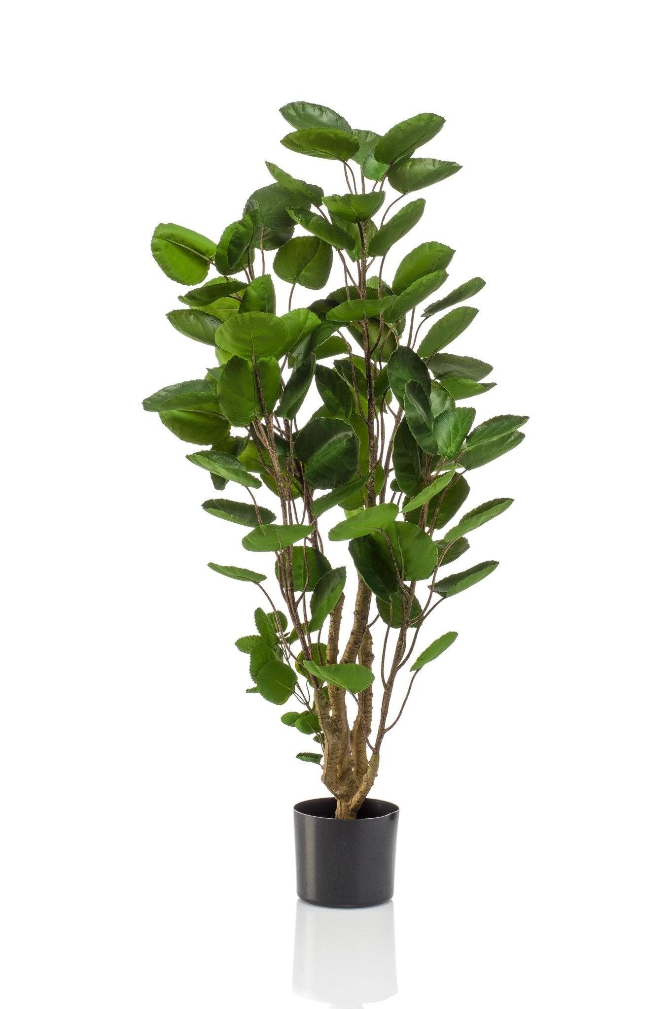 La Green Touch - Polyscias Aralia plante artificielle - h105cm, Ø12cm- La Green Touch - Imagen 5