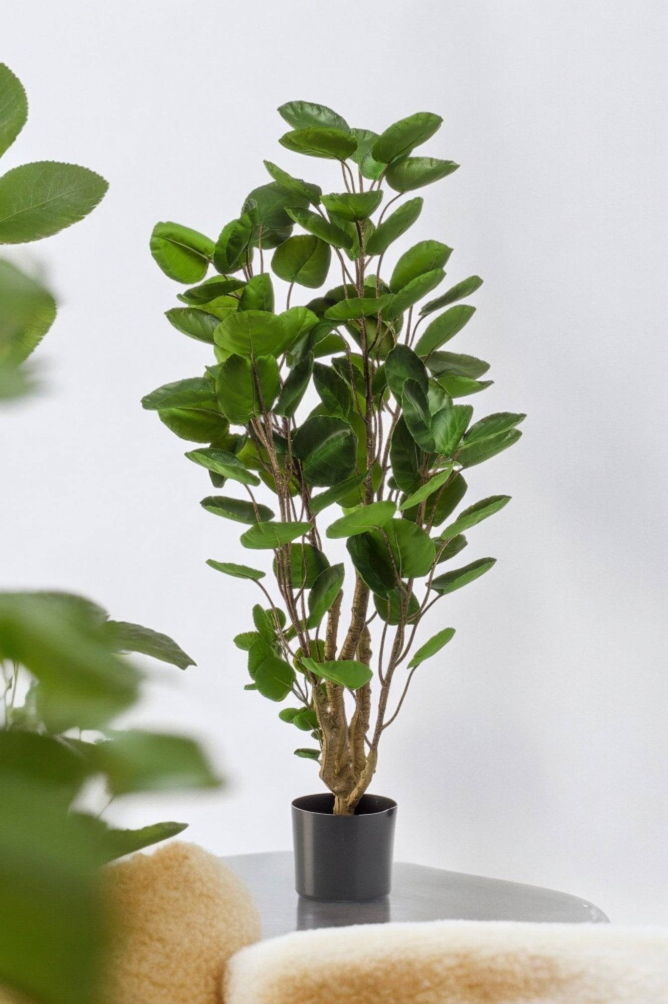 La Green Touch - Polyscias Aralia plante artificielle - h105cm, Ø12cm- La Green Touch - Imagen 1