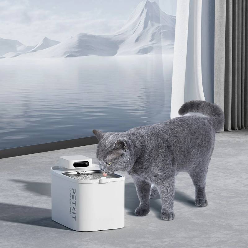 Petkit - EVERSWEET MAX Fontaine à eau connectée pour animaux, 3L, 83jours d'autonomie PETKIT - Imagen 8