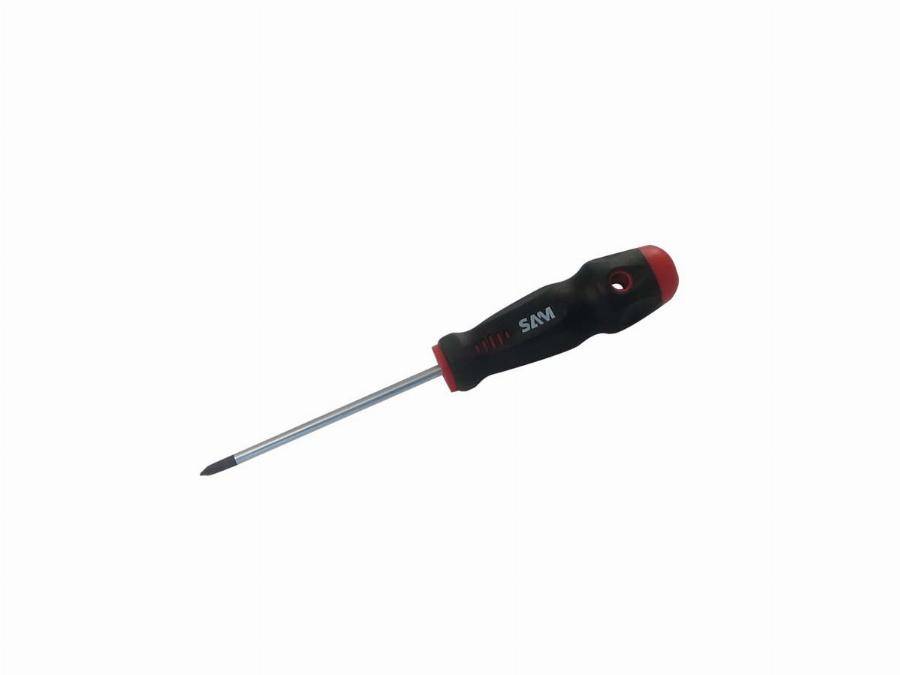 Tournevis pozidriv 1x100 mm SAM - TA1PZ100 - Imagen 1