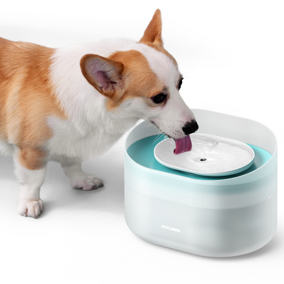 Petlibro - Petlibro Fontaine à eau pour chien Capsule - Image 2