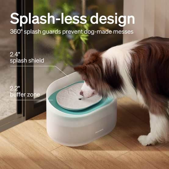Petlibro - Petlibro Fontaine à eau pour chien Capsule - Image 3