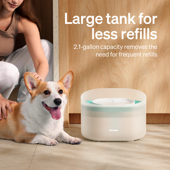 Petlibro - Petlibro Fontaine à eau pour chien Capsule - Image 4