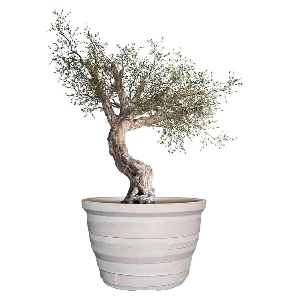 Pot de fleurs lignum 55 - Imagen 4
