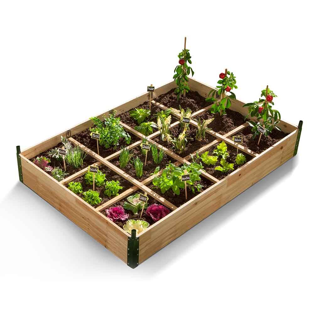 Carré potager avec serre intégrée sur armature rigide - Image 2