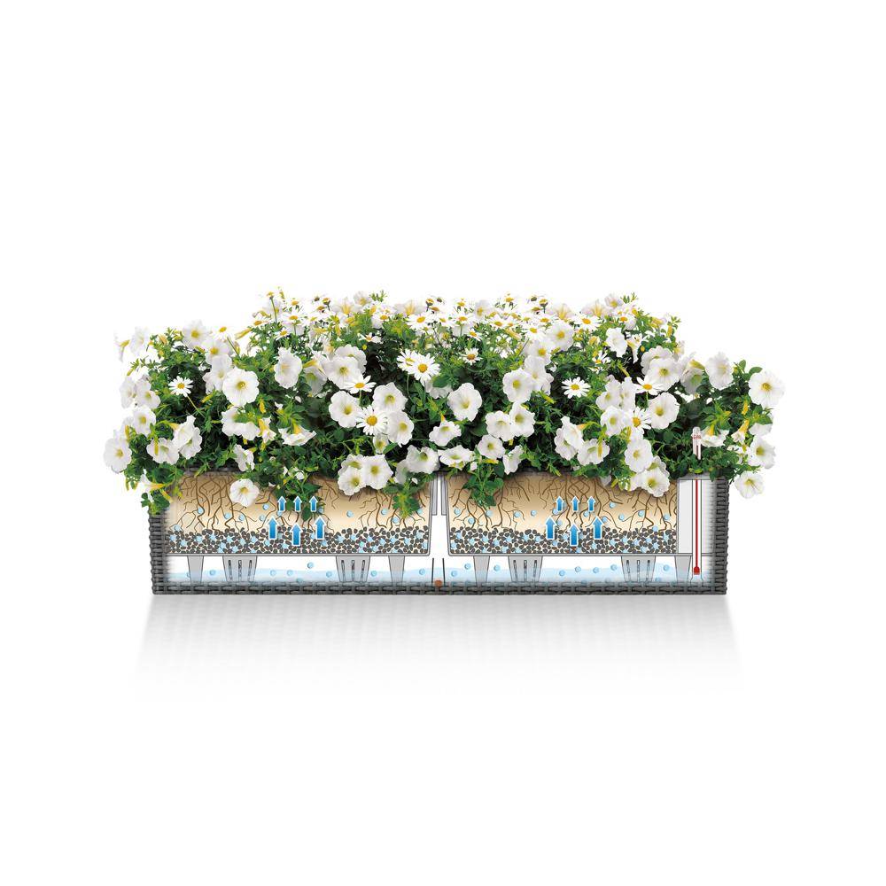Lechuza - Pot Balconera Cottage 80 - kit complet, moka - 80 cm Lechuza - Imagen 3