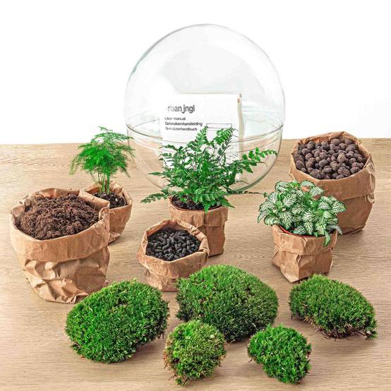 Diy Terrarium - D30 H30cm - Image 4