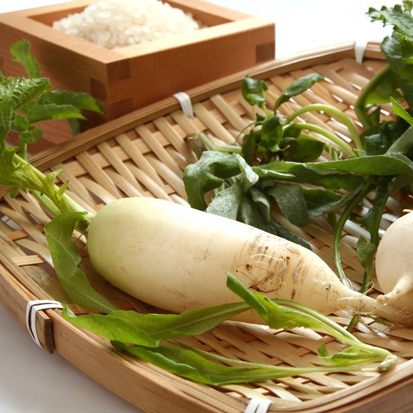 Navet Blanc Dur d'Hiver - Brassica rapa le sachet de 2000 graines environ (5g)