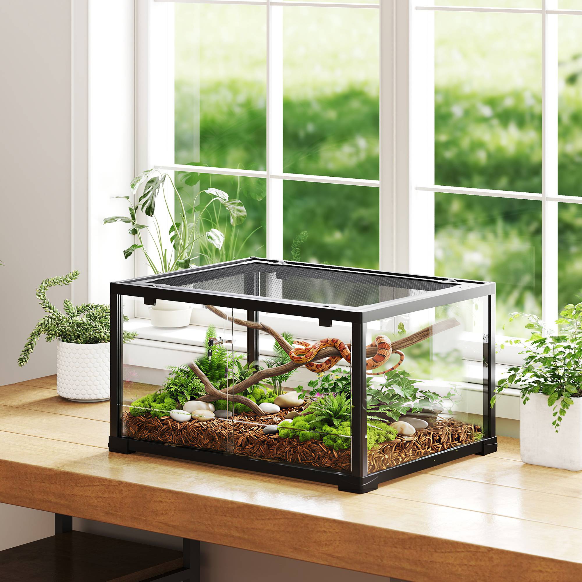 Terrarium verre noir 60 x 45 x 32 cm - PANGIVO - Image 3