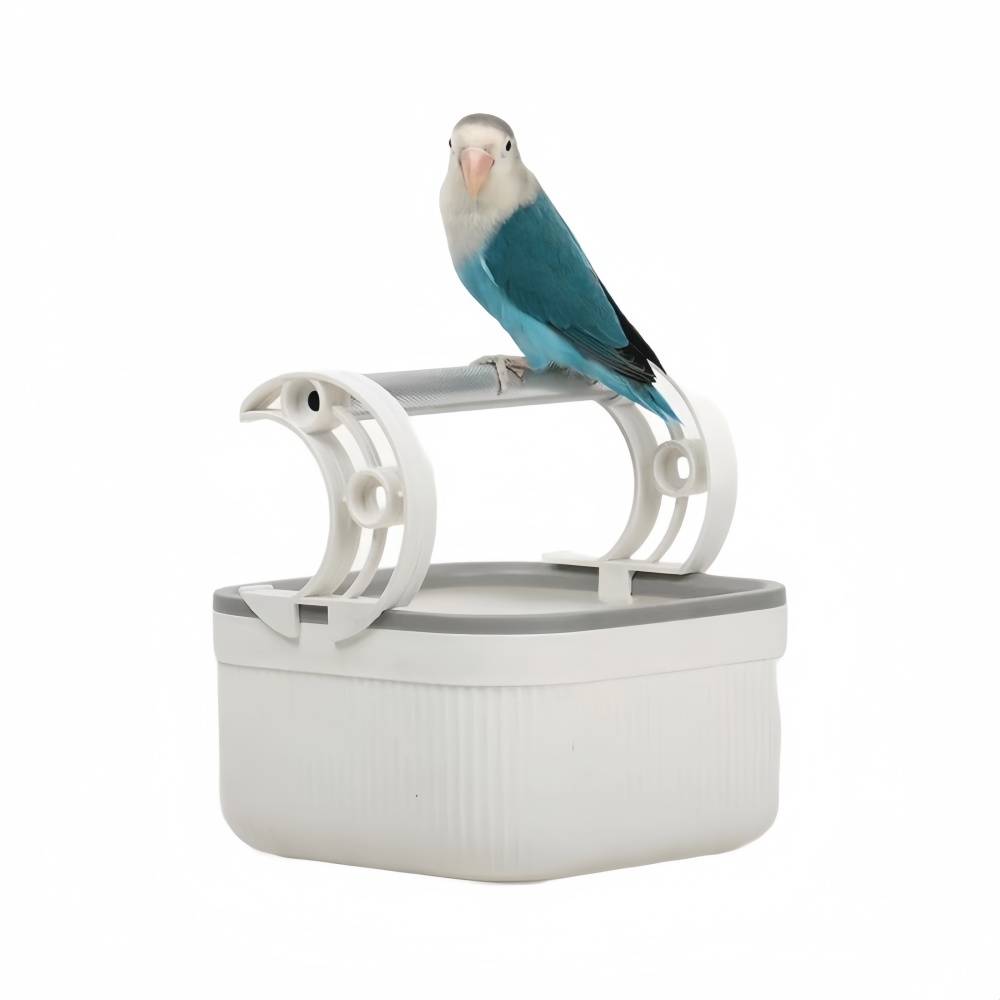 IntiMeg - Support à oiseaux de bureau IntiMeg - Image 2