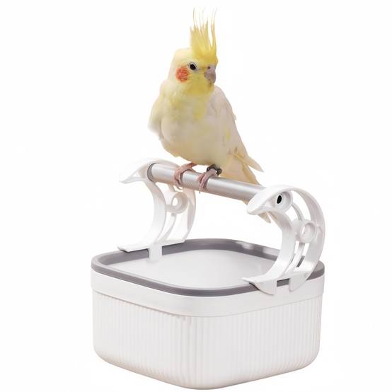 IntiMeg - Support à oiseaux de bureau IntiMeg - Image 1