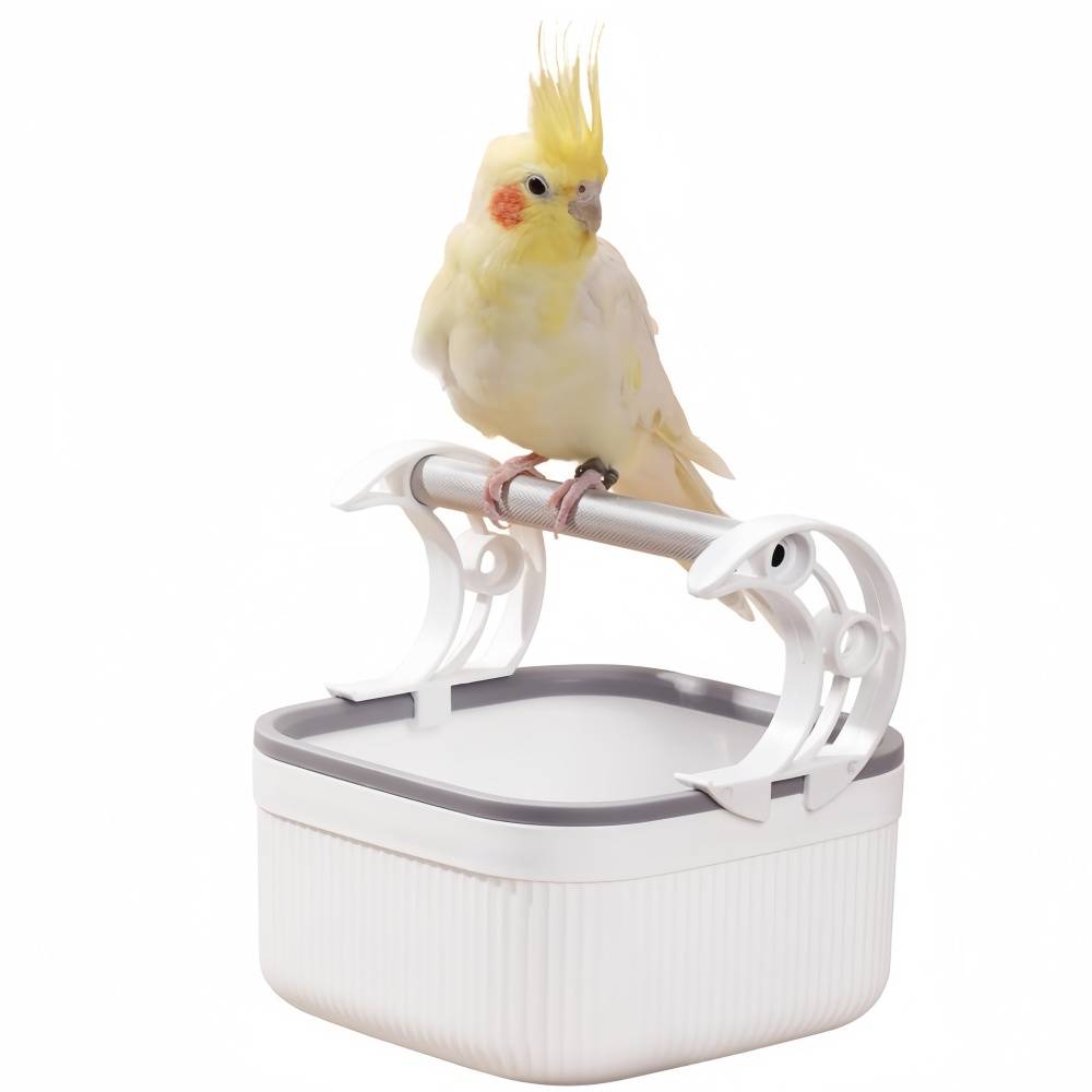 IntiMeg - Support à oiseaux de bureau IntiMeg - Image 1