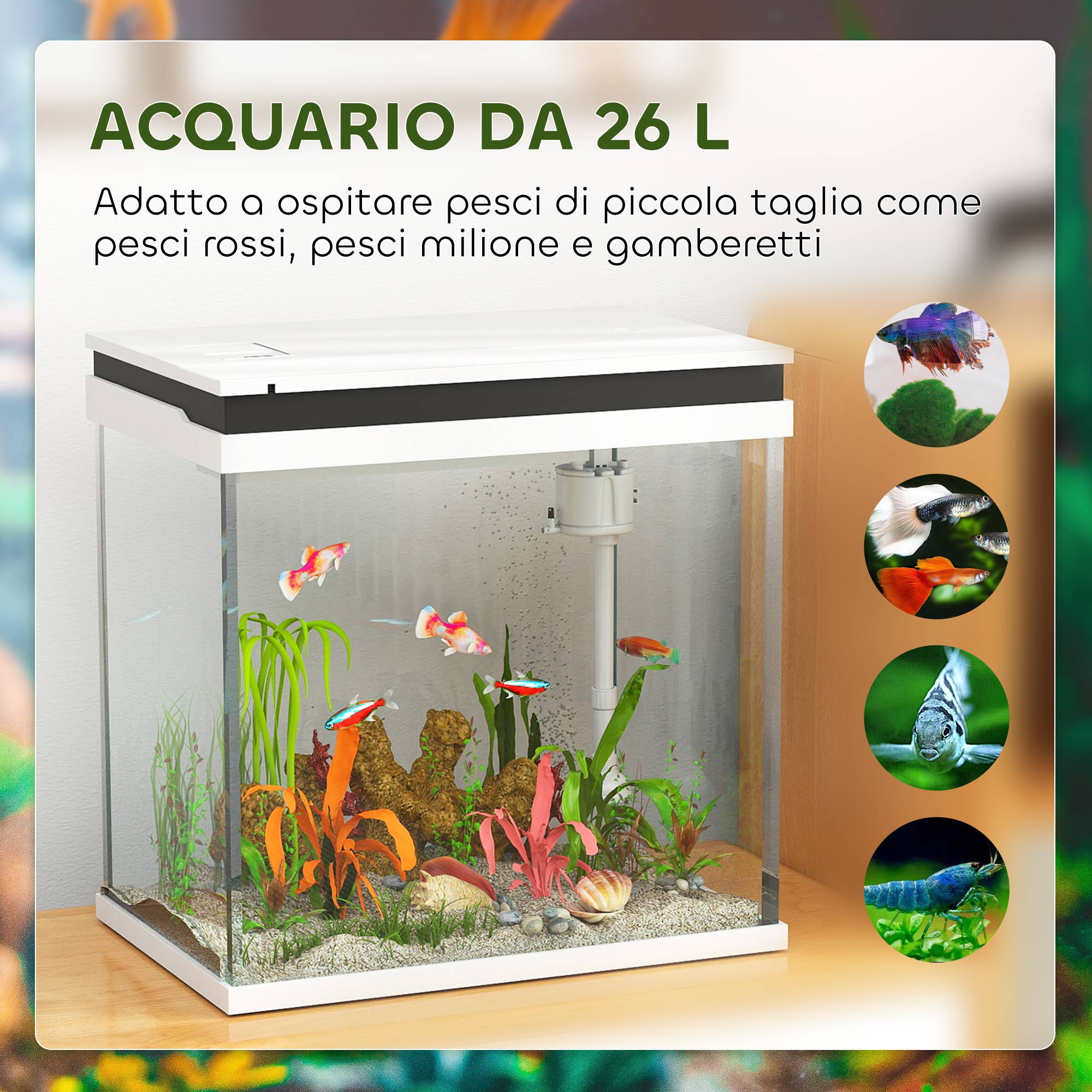 ComfortXL - Aquarium 26 L en verre et ABS blanc 38 x 26 x 38 cm avec éclairage LED multicolore filtre et pompe à eau - Image 5