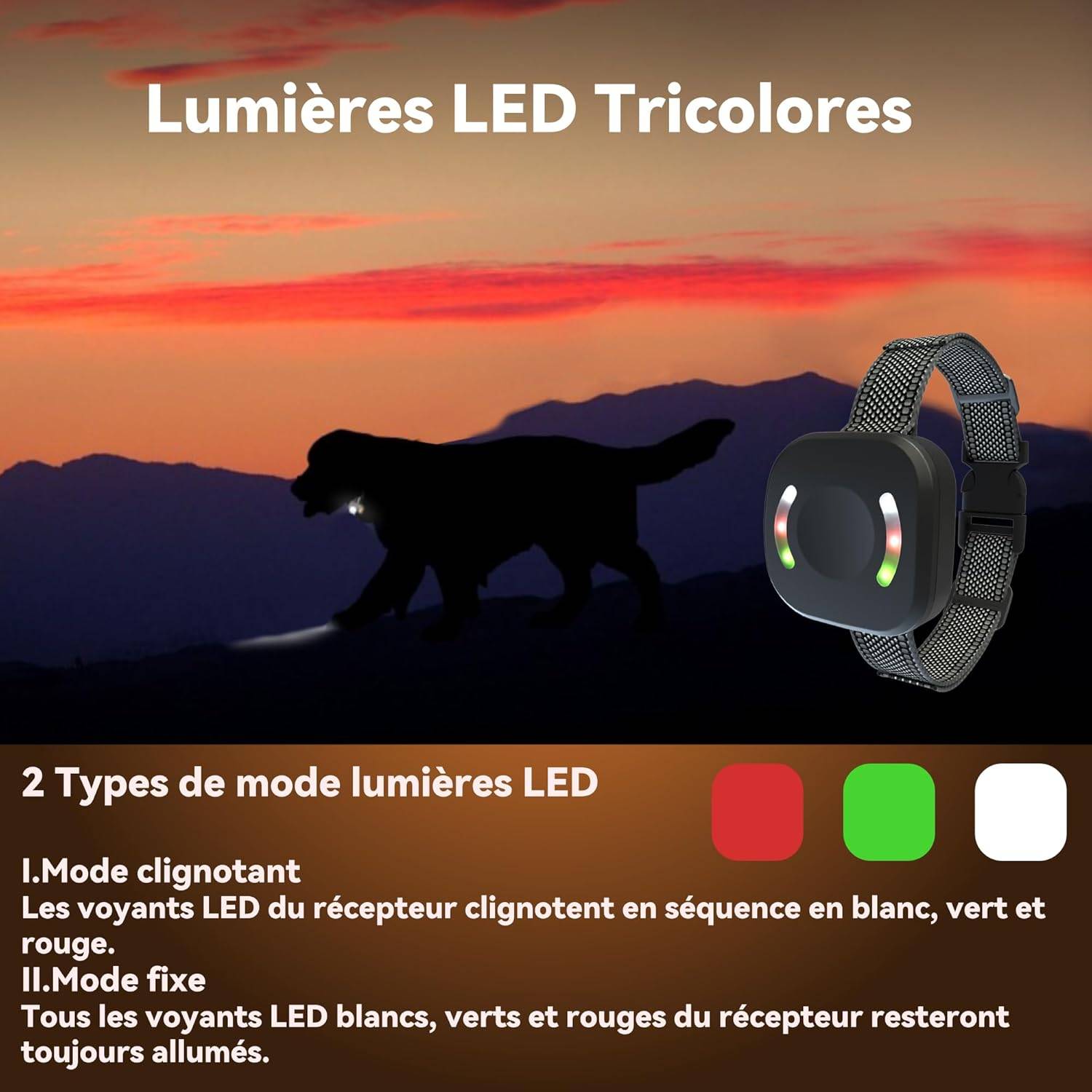 Collier de Dressage - Rechargeable 4 Modes IP67 Résistant à l'eau - Lytech - Image 3