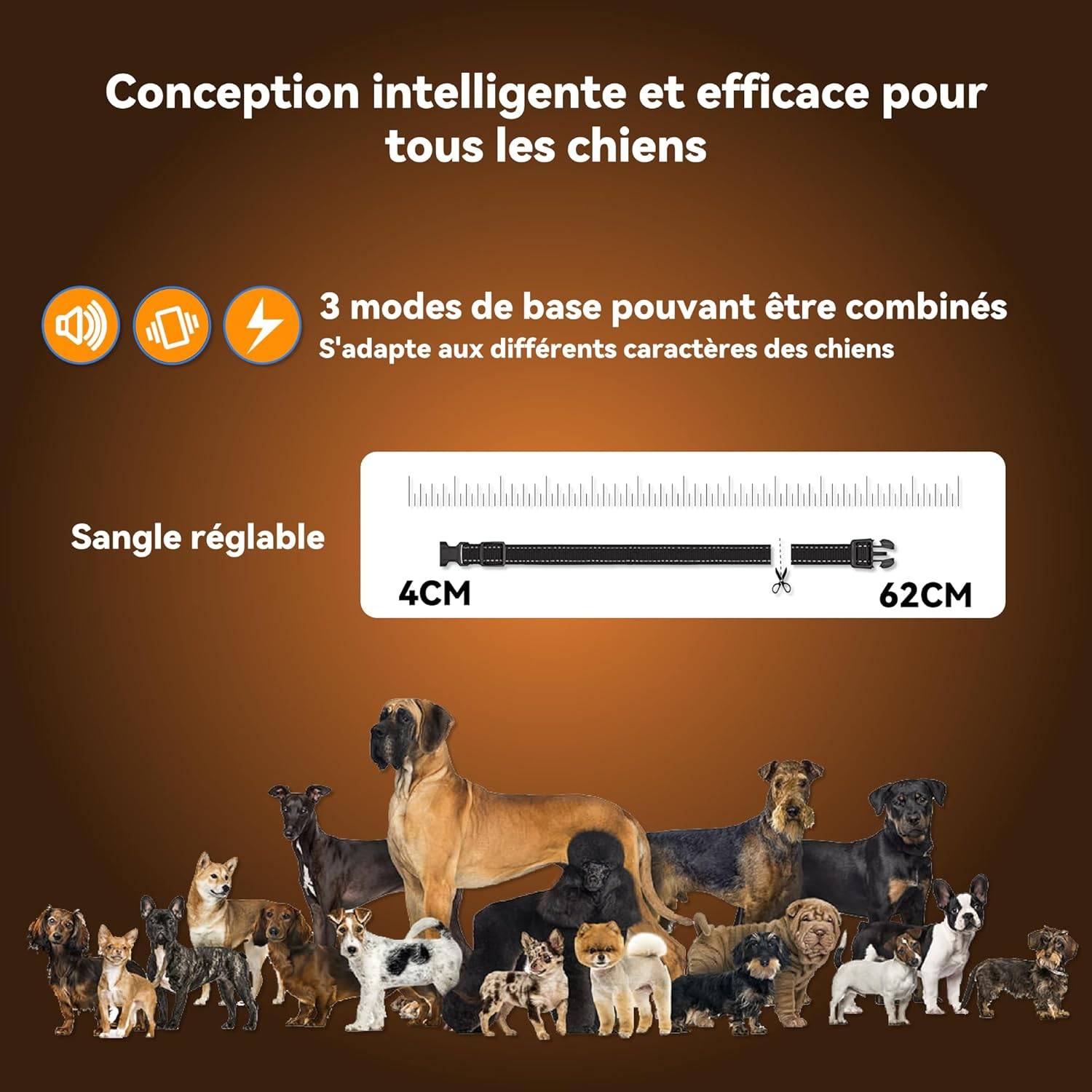 Collier de Dressage - Rechargeable 4 Modes IP67 Résistant à l'eau - Lytech - Image 4