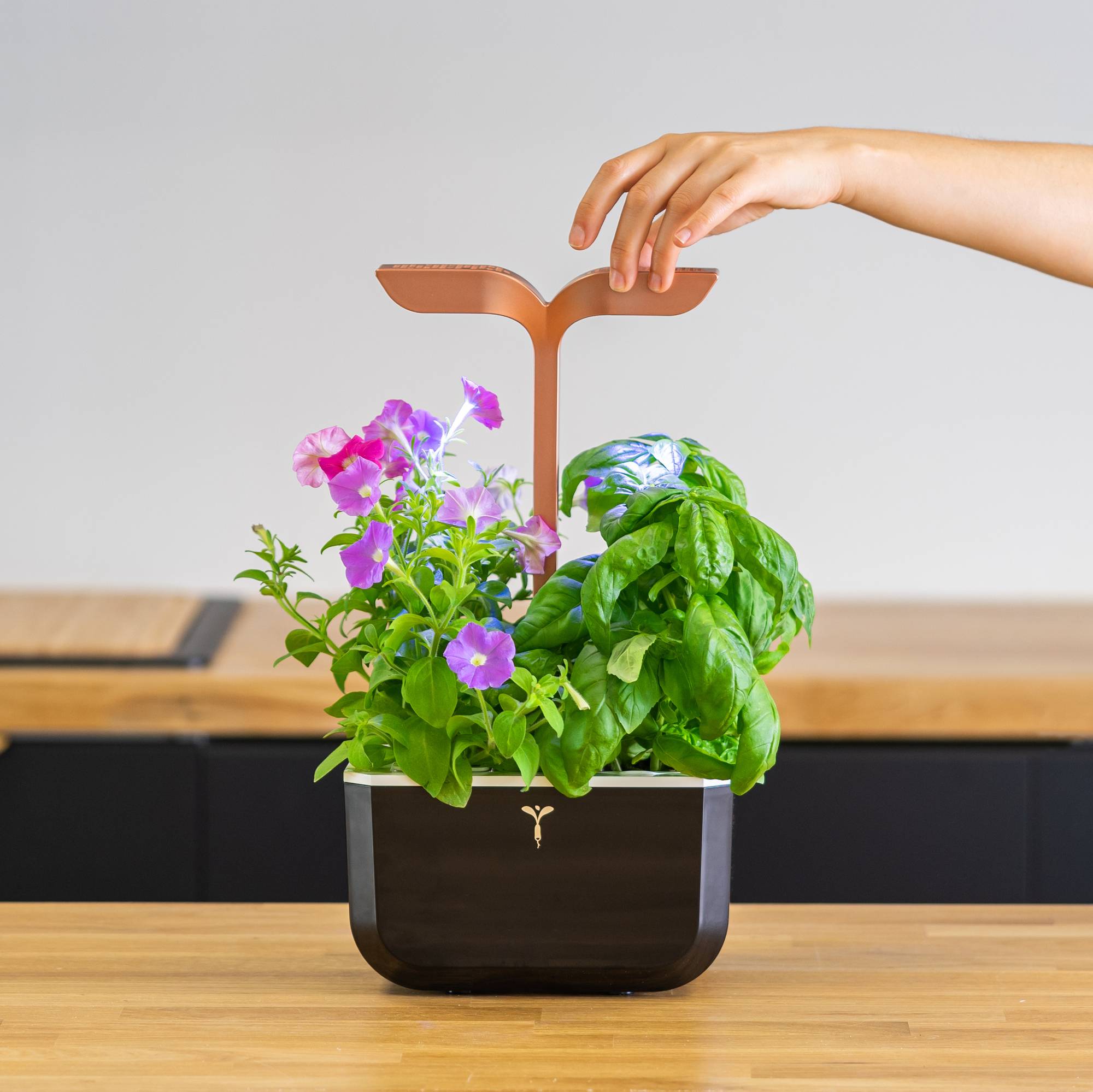 Veritable - Potager d'intérieur Autonome Véritable EXKY SMART Copper - Livré avec 2 Lingots - Véritable - Imagen 4