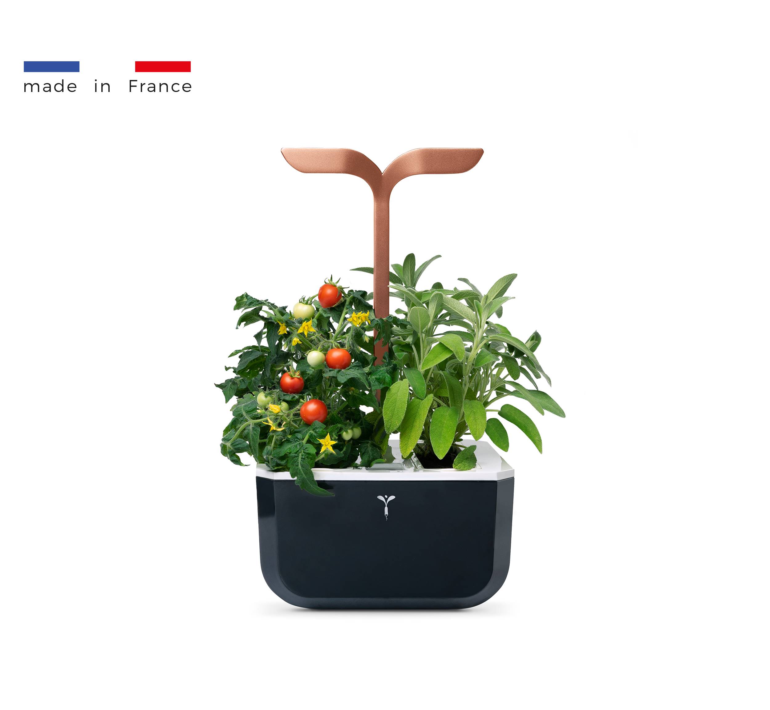 Veritable - Potager d'intérieur Autonome Véritable EXKY SMART Copper - Livré avec 2 Lingots - Véritable - Imagen 1
