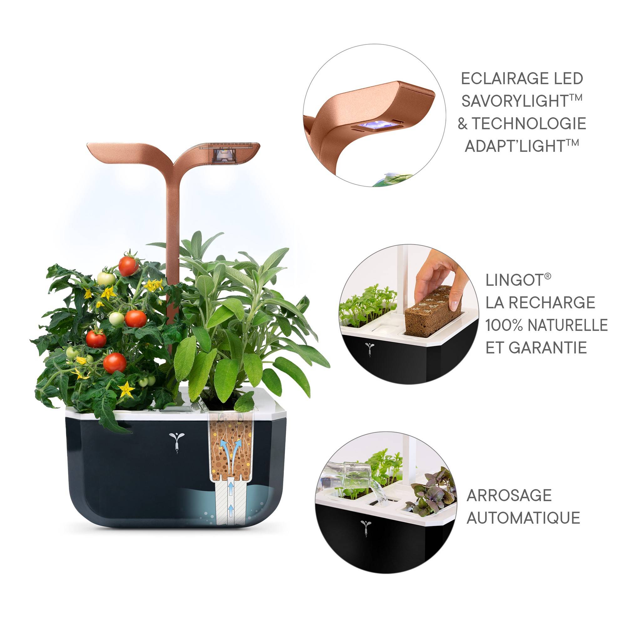 Veritable - Potager d'intérieur Autonome Véritable EXKY SMART Copper - Livré avec 2 Lingots - Véritable - Imagen 5