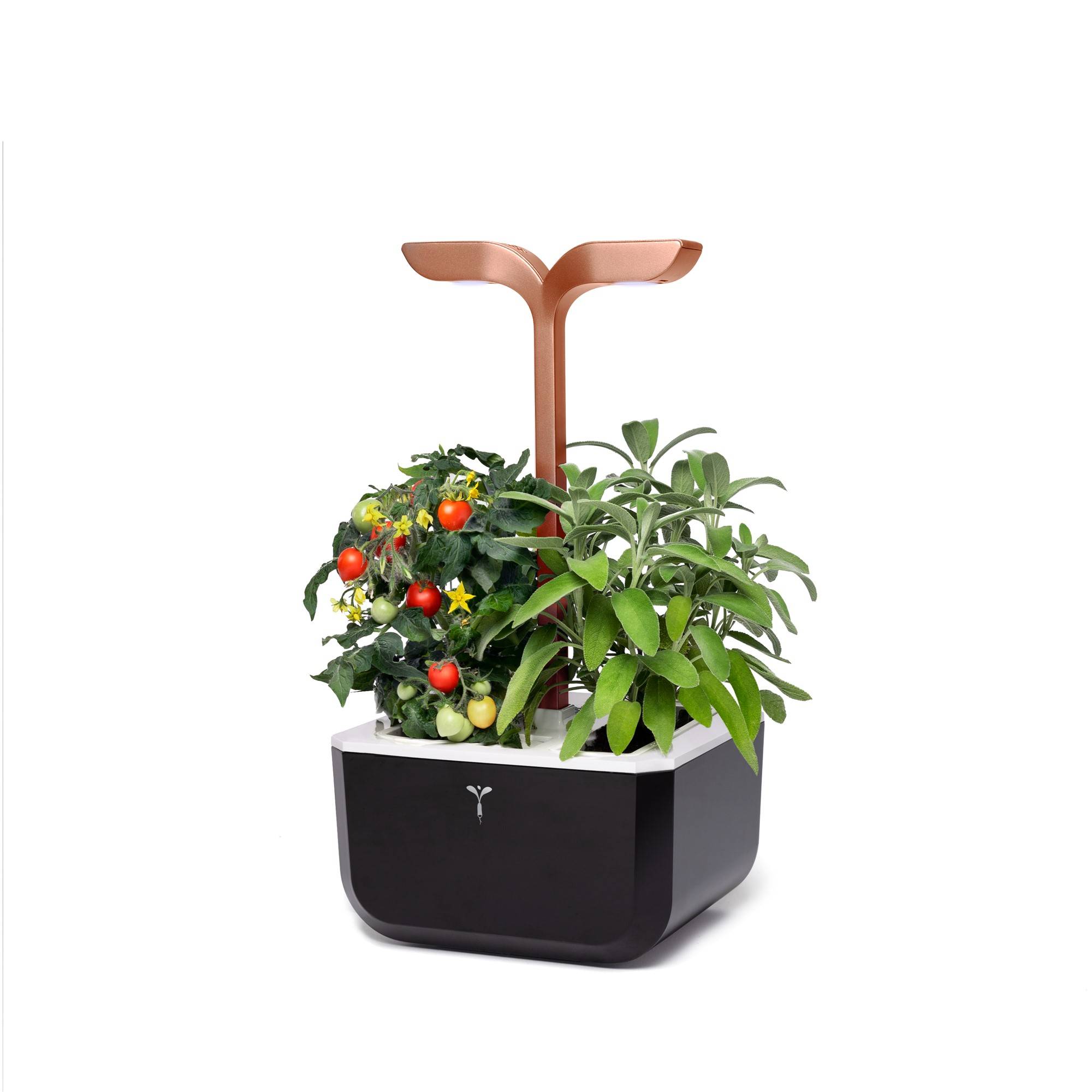 Veritable - Potager d'intérieur Autonome Véritable EXKY SMART Copper - Livré avec 2 Lingots - Véritable - Imagen 2