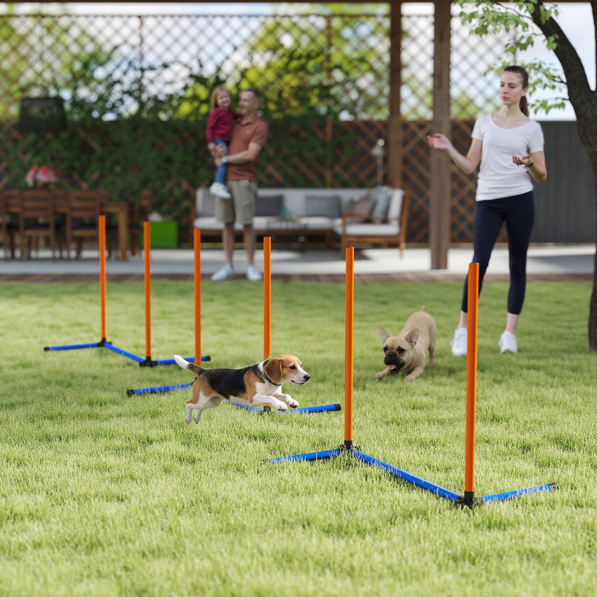 Kit d'agilité pour chien plastique orange 65 x 64 x 69 cm - PANGIVO - Image 4