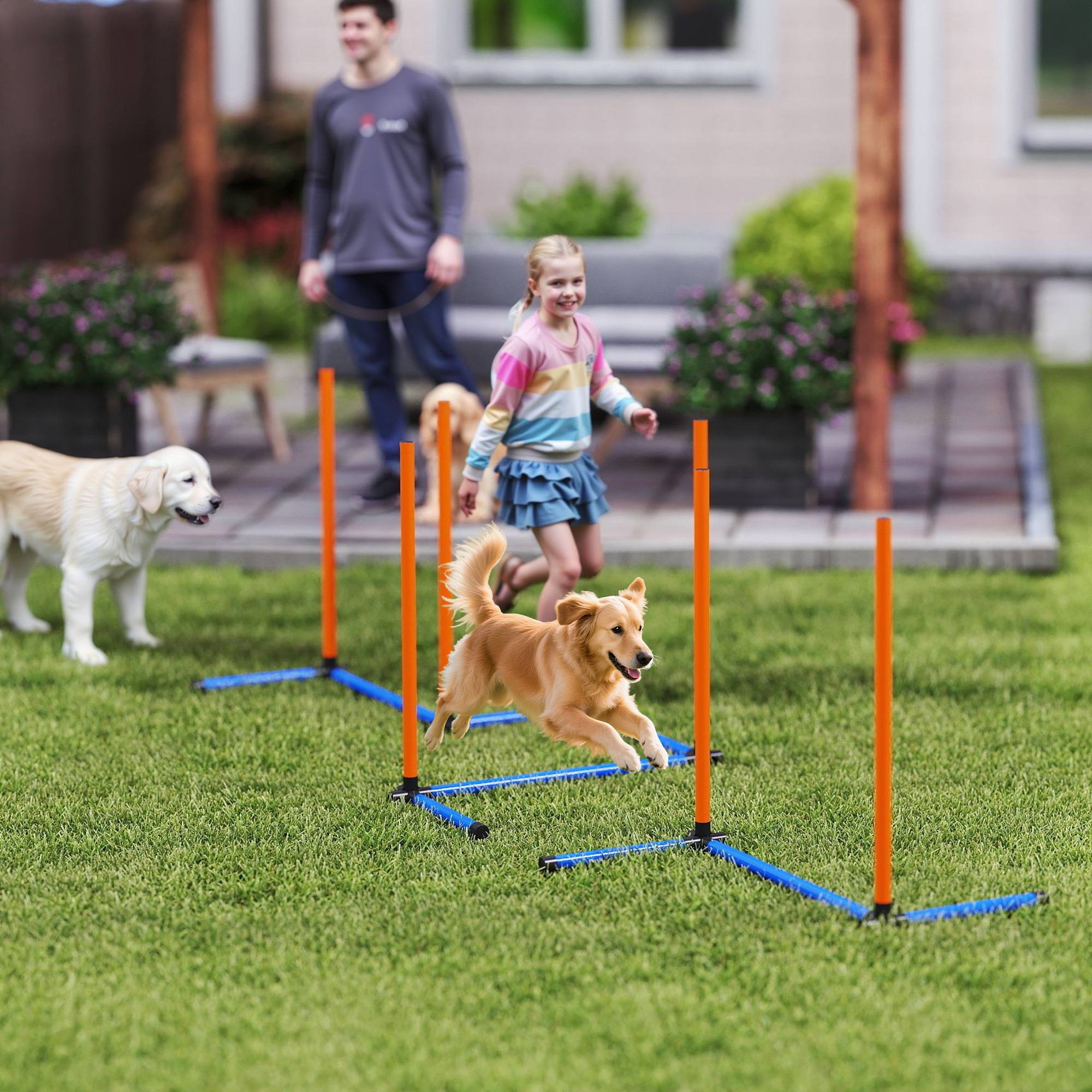 Kit d'agilité pour chien plastique orange 65 x 64 x 69 cm - PANGIVO - Image 3