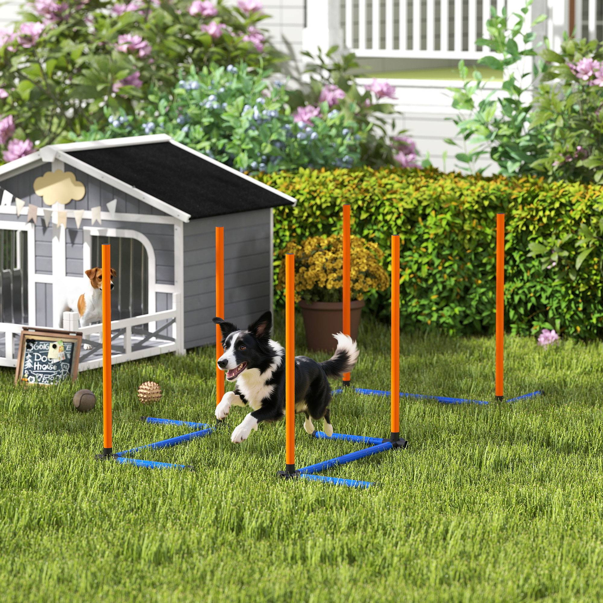 Kit d'agilité pour chien plastique orange 65 x 64 x 69 cm - PANGIVO - Image 10