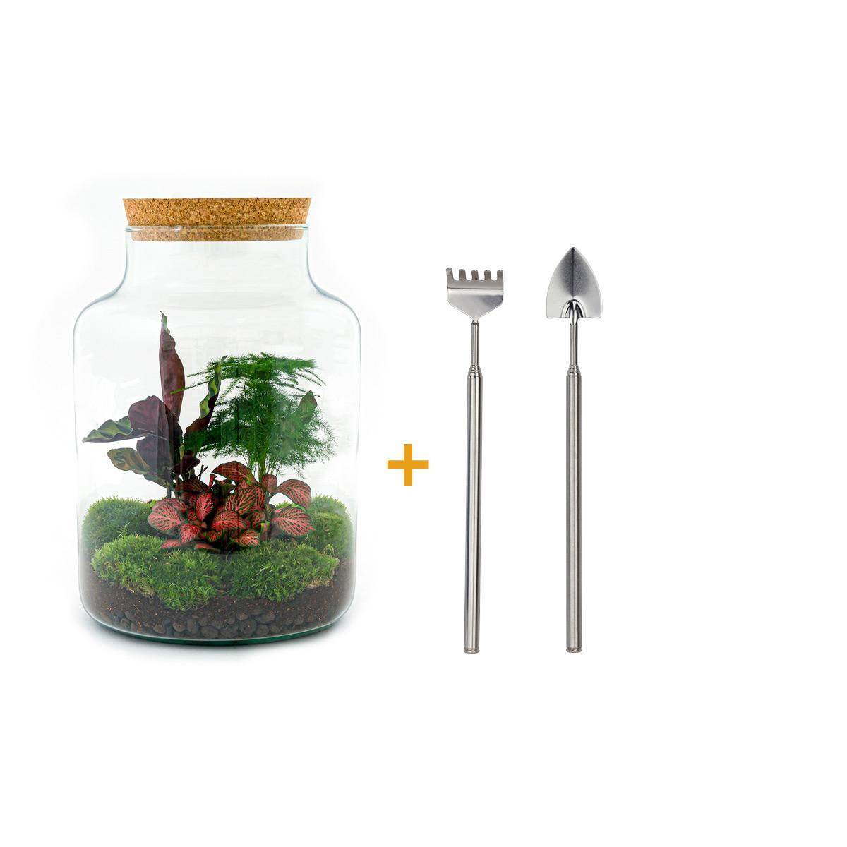 Diy Terrarium - D30 H30cm