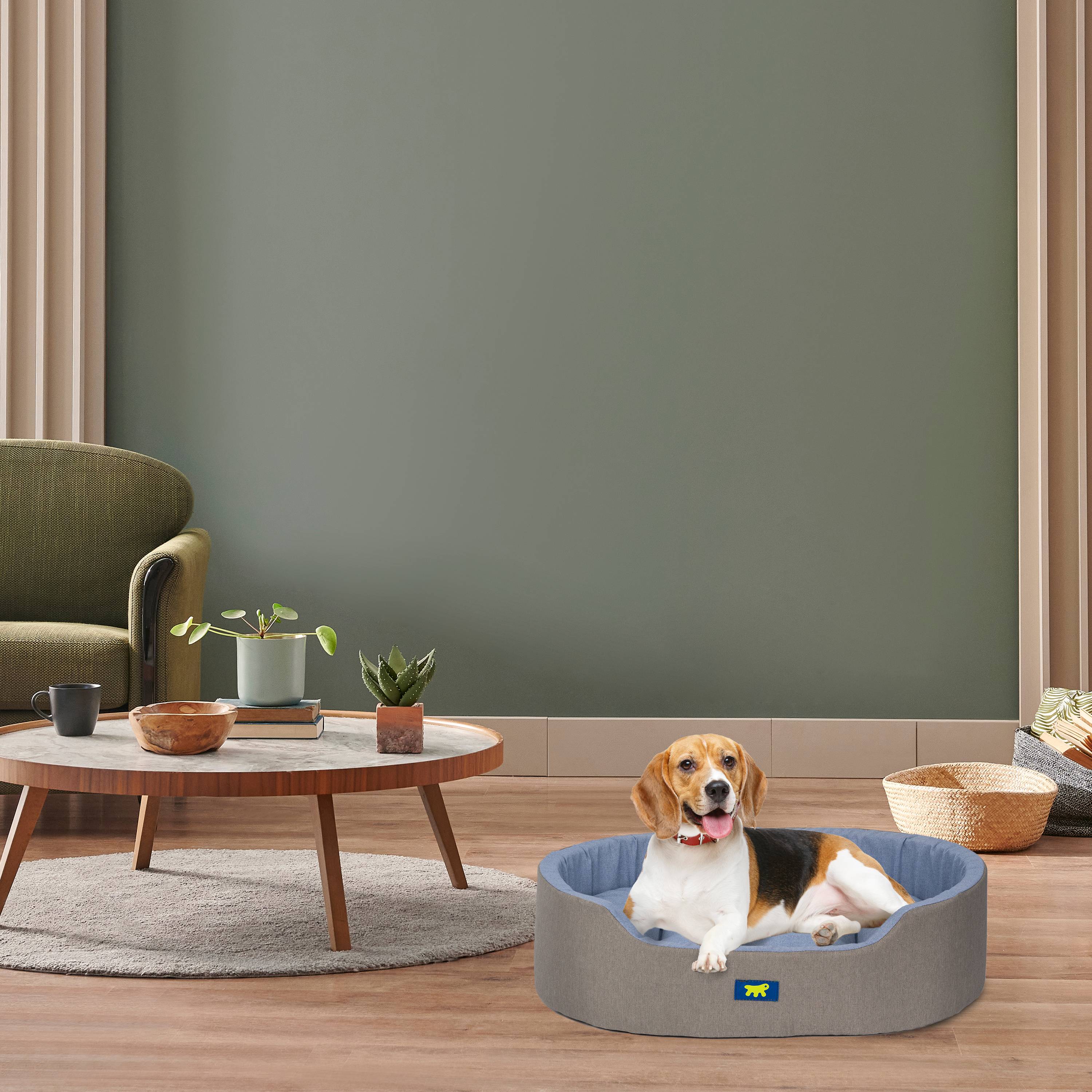 Ferplast - Ferplast Panier Chien Dandy, Coussin Amovible et Lavable, Housse en Coton avec Rembourrage Doux, Idéal également comme Niche pour Chat, 65 x 46 x H 17 - Imagen 3