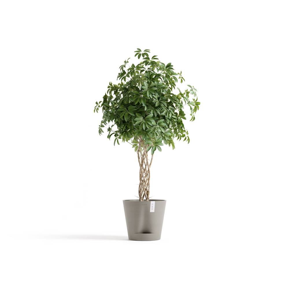 Ecopots - Pot Rond Venice 2 Taupe + réservoir d'eau - Ø 40 x H. 35 cm - 4 L ECOPOTS