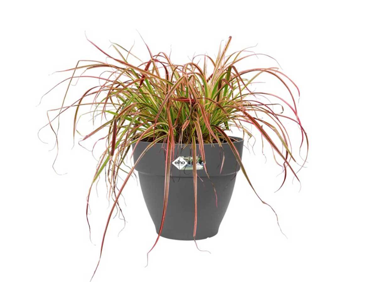 Elho - Pot De Fleurs Rond Vibia - Plastique Réservoir - ø47 - Blanc - Imagen 6