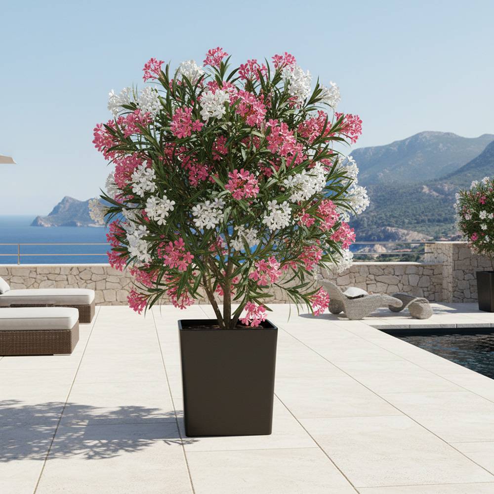 Pot de fleurs carré cubio h 50 cm-plast'up rotomoulage - Imagen 4