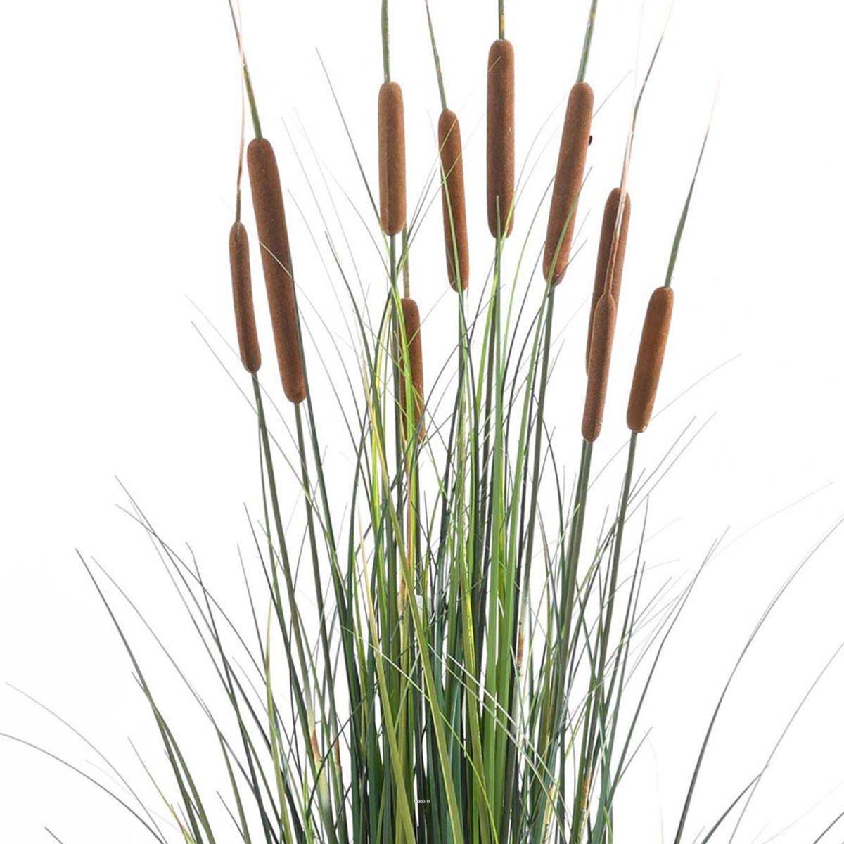 Artificielles - Graminée Verte en pot factice plante eau & 10 quenouille H120cm Marron - dimhaut: H 120 cm - couleur: Chocolat - Imagen 2