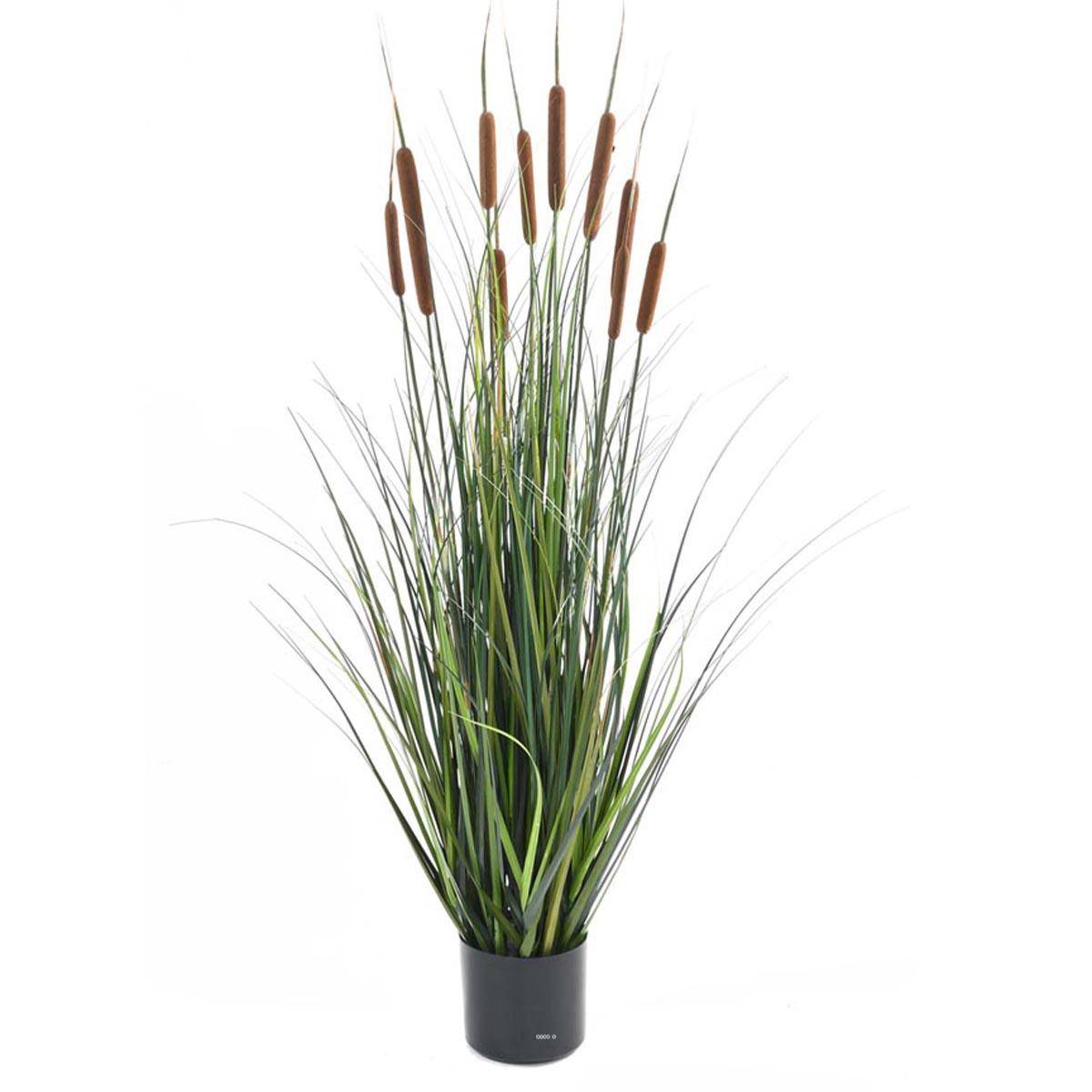 Artificielles - Graminée Verte en pot factice plante eau & 10 quenouille H120cm Marron - dimhaut: H 120 cm - couleur: Chocolat - Imagen 1