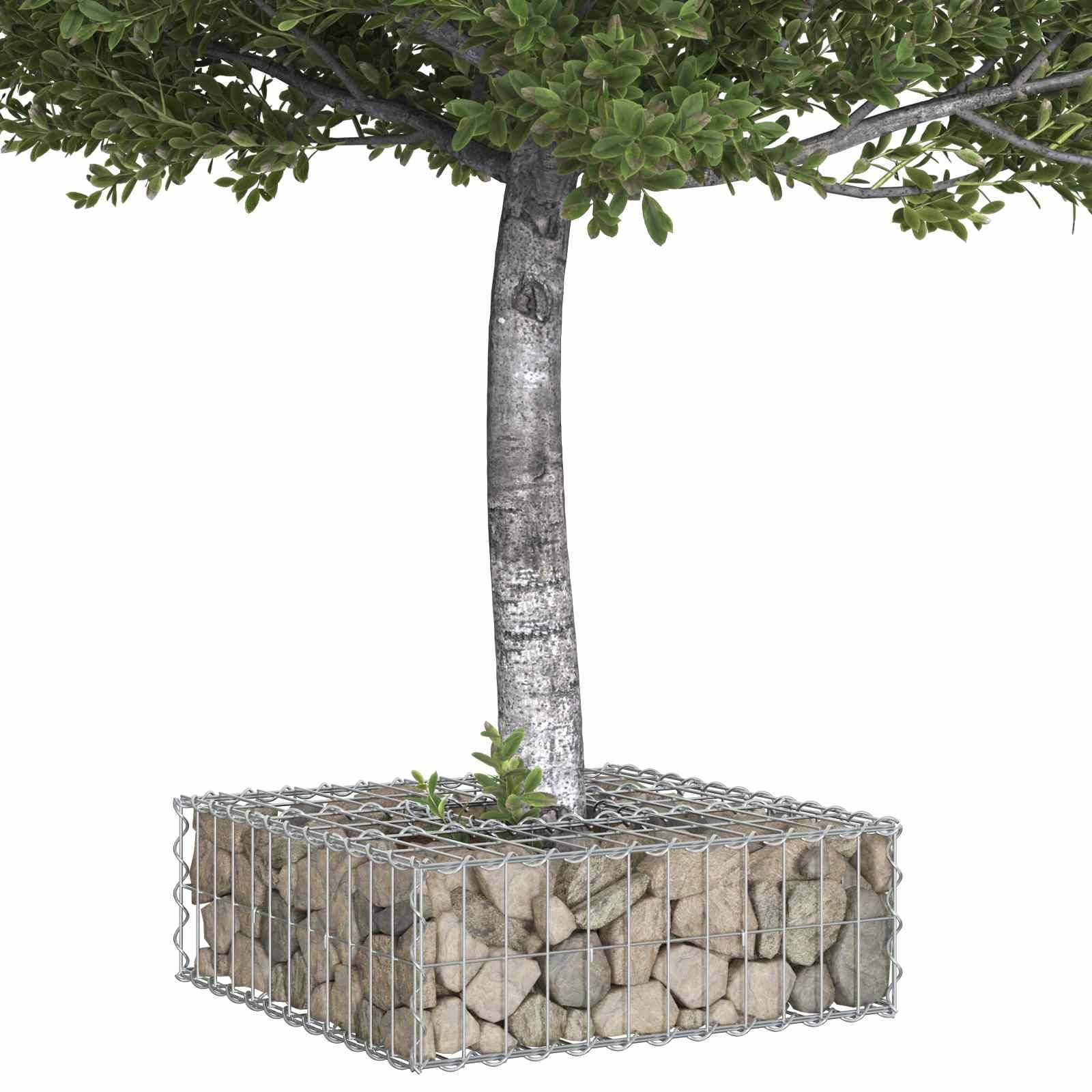 Lit surélevé gabion Acier galvanisé Argenté 60 x 60 x 20 cm - PANGIVO - Image 3