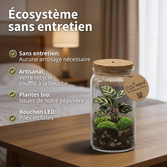0 - Mini Terrarium de Plantes Ø11 cm - Écosystème Fermé en Verre - Image 3