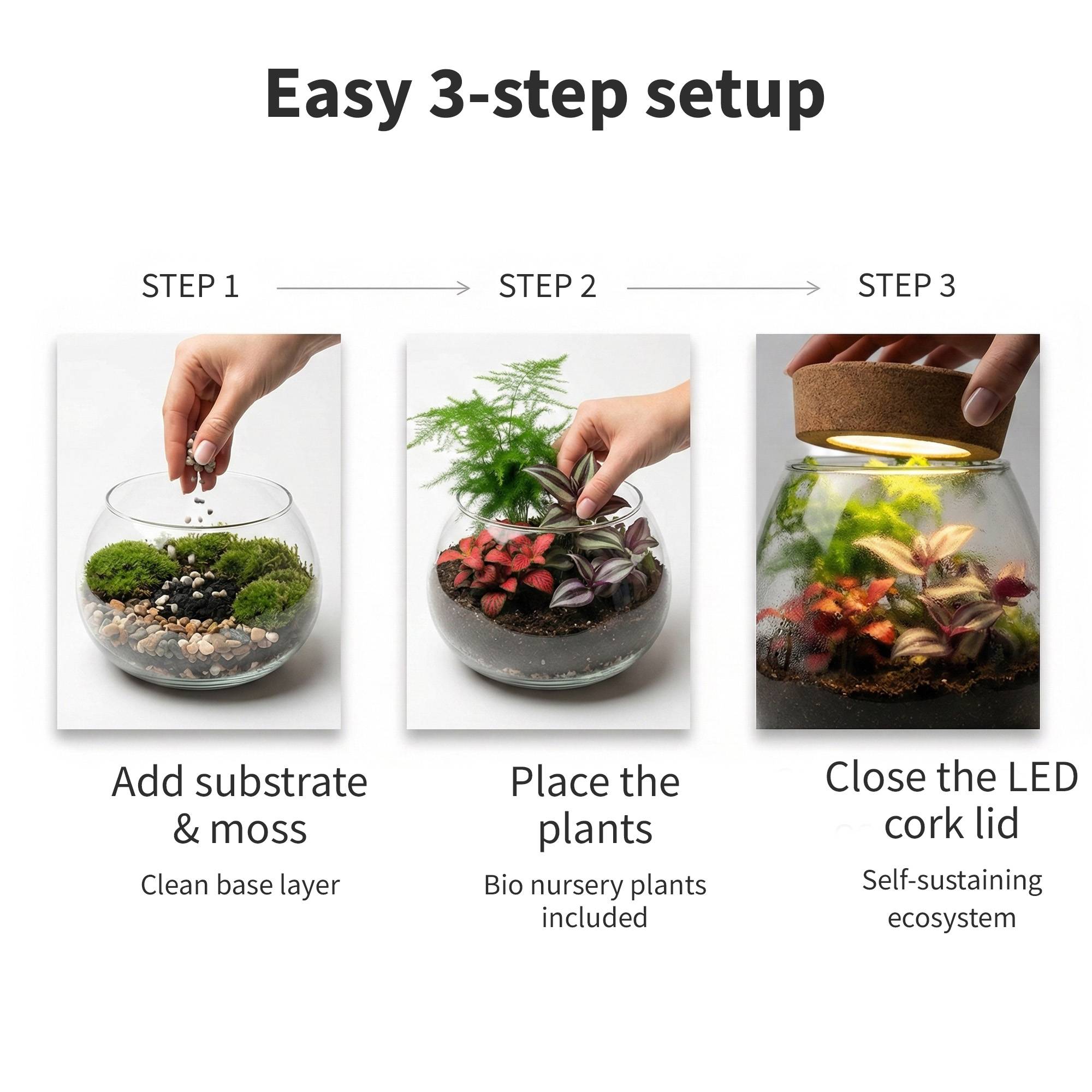 0 - Mini Terrarium de Plantes Ø11 cm - Écosystème Fermé en Verre - Image 6
