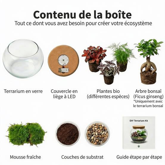 0 - Mini Terrarium de Plantes Ø11 cm - Écosystème Fermé en Verre - Image 5