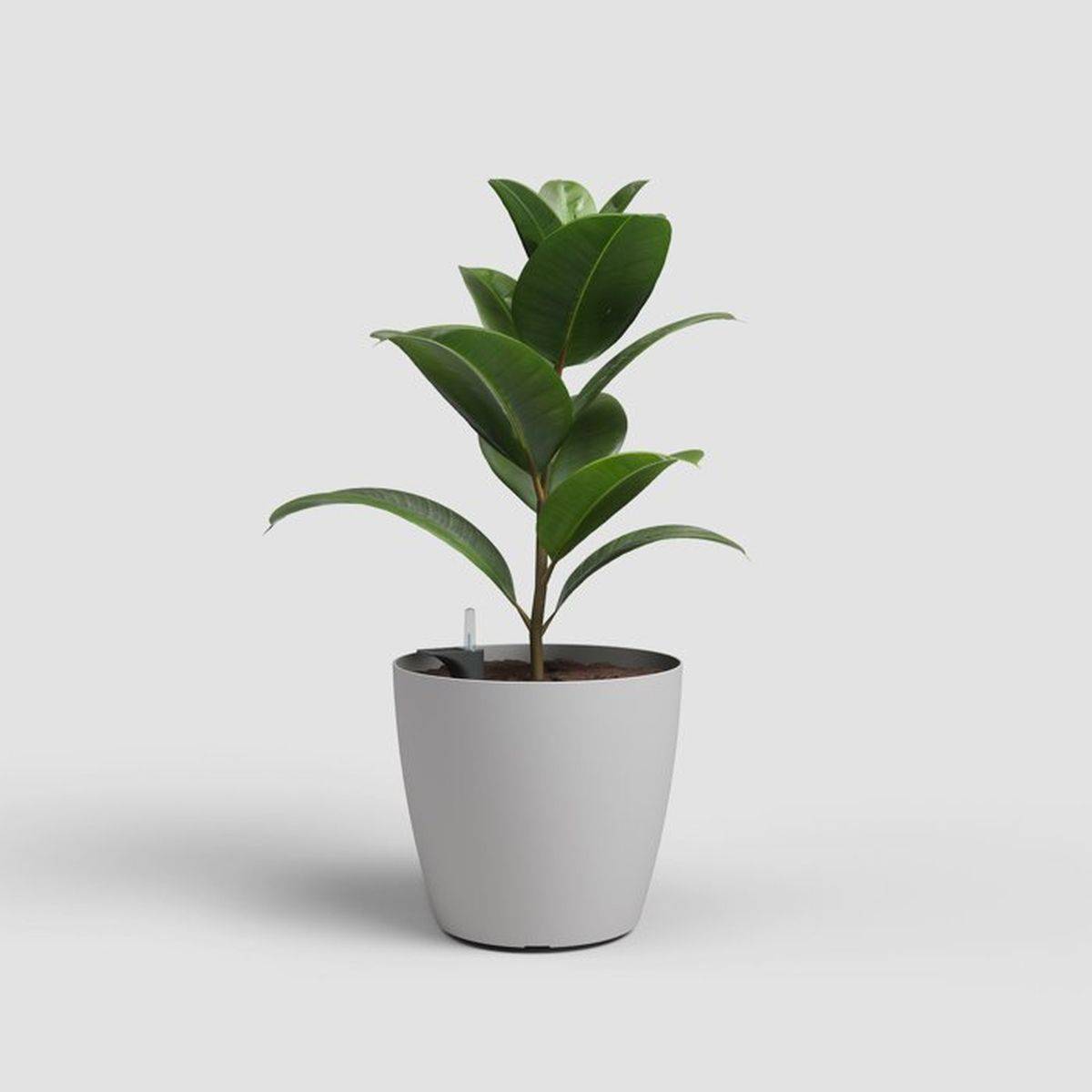 Artevasi - Pot de fleurs auto-arrosant San Remo SWS gris clair 14,5 L, plastique anti-UV Ø30,5 x 27 cm - ARTEVASI - Image 2