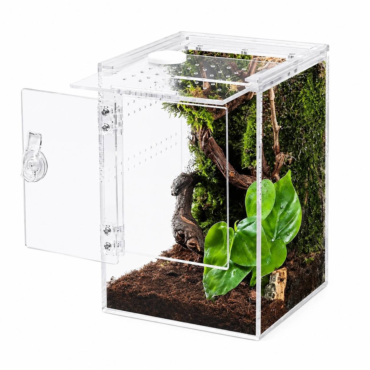 Boîte d'élevage d'insectes terrarium acrylique épais 360° pour reptiles arthropodes