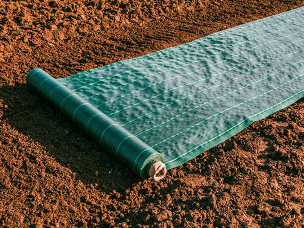 Maille Store - Toile de paillage - Vert - 130gr/m² - Non plié Non pliés 1.65m x 100m Vert - Imagen 3
