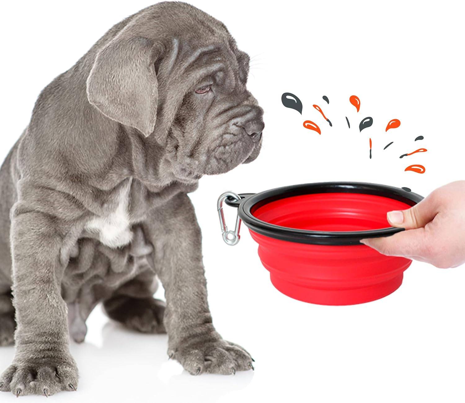Petsation - Gamelle de voyage pliable en silicone - eau et nourriture pour chien et chat (rouge, 1000 + 350ml) - Petsation - Imagen 2