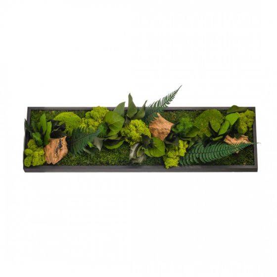 Naturalys - Naturalys - Tableau végétal CANOPEE Panoramic 70 x 20 cm - Imagen 1