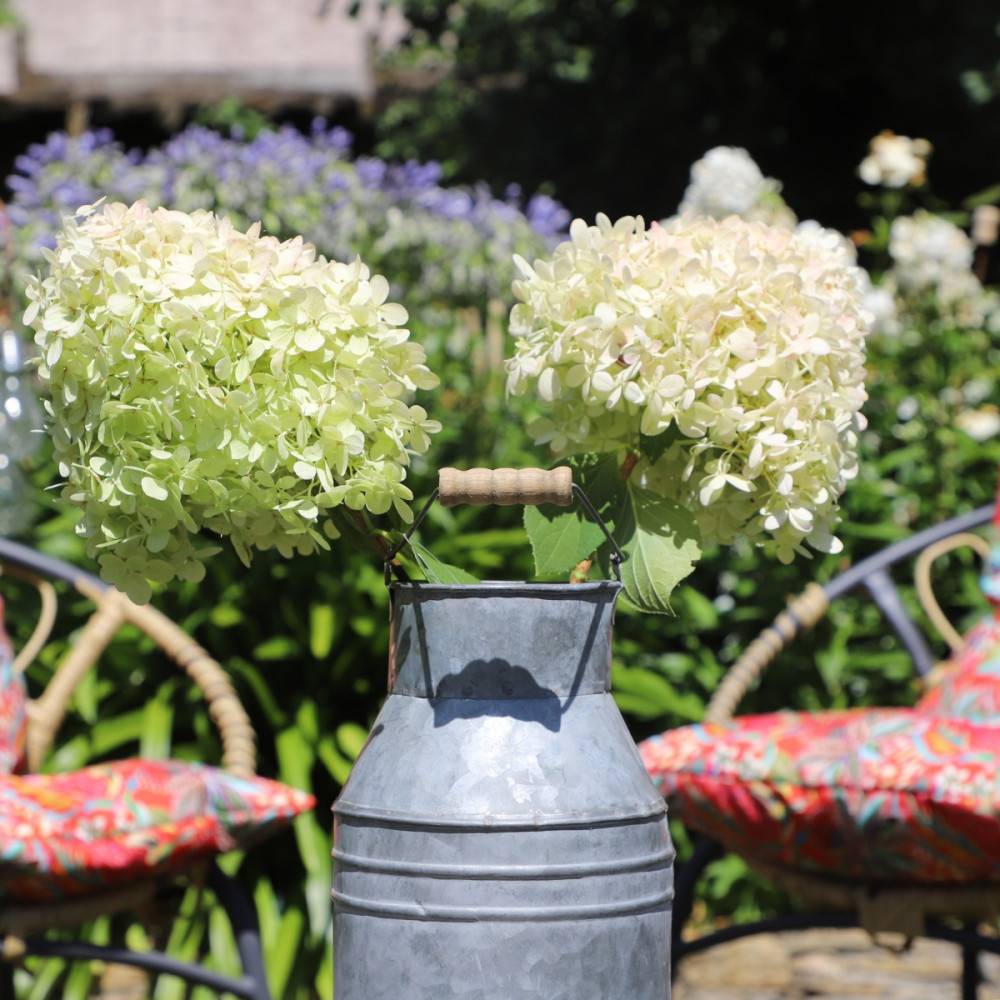 Pot à lait ancien décoratif jardin extérieur zinc gris 24 x 14 cm Chemin de campagne - Imagen 5