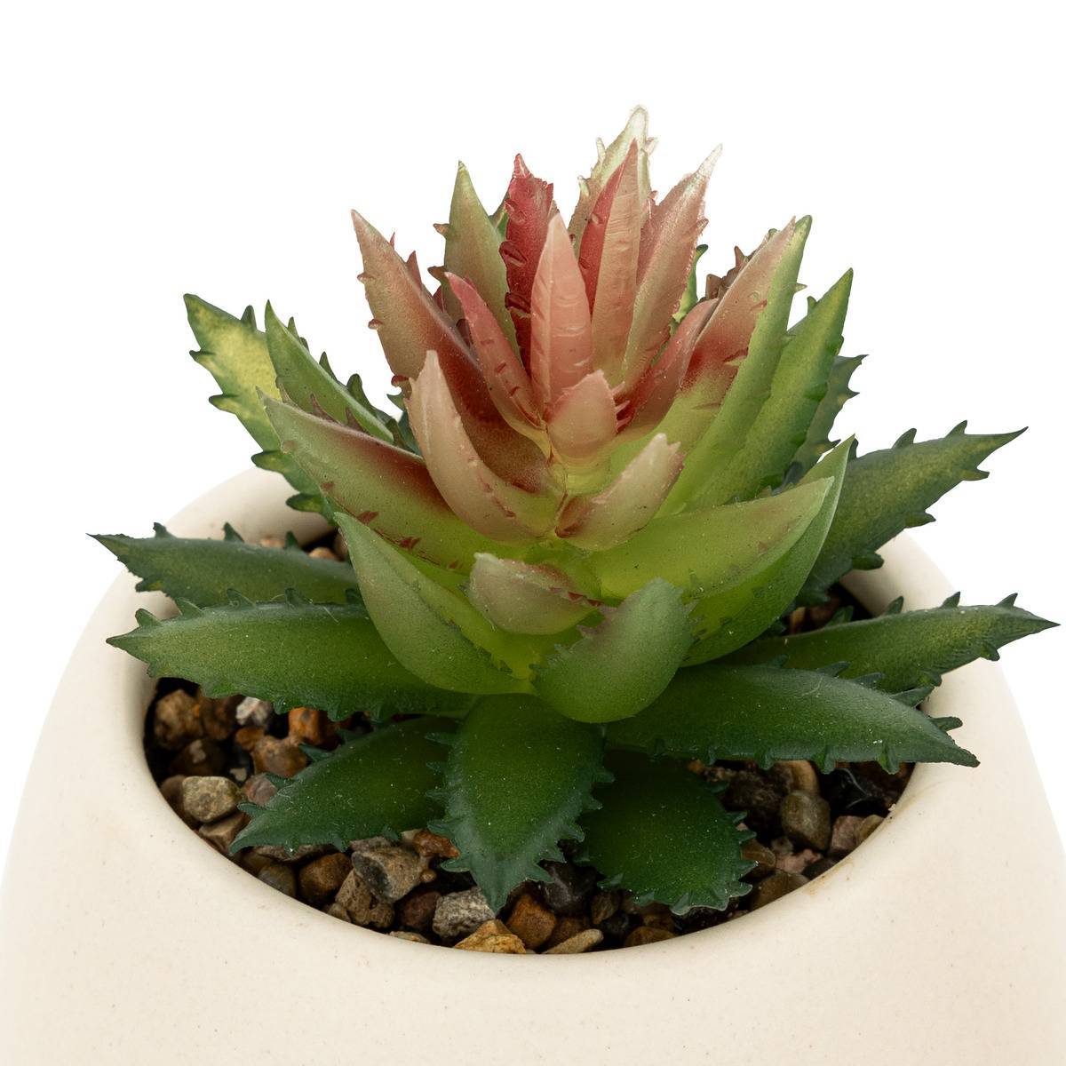 Atmosphera - Plante artificielle Livy pot céramique H17cm - Atmosphera Créateur d'intérieur - Imagen 4